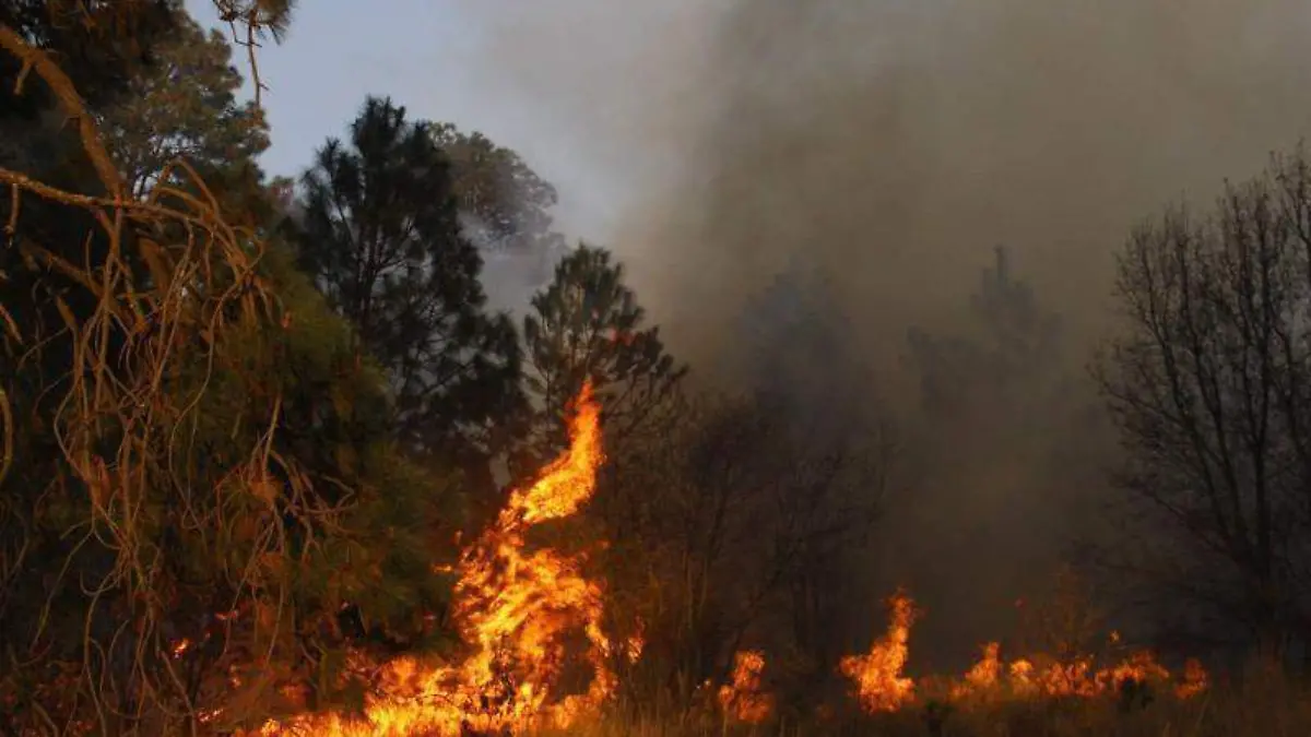 Incendio forestal (2)