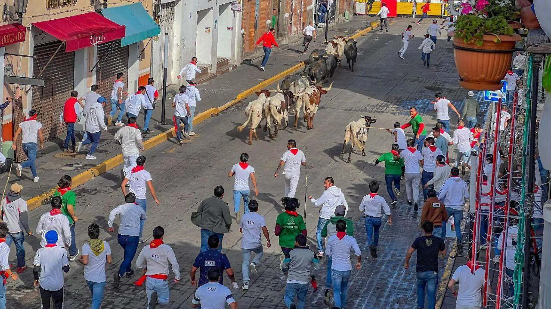 Al dea Mágica de Huamantla 2024 3