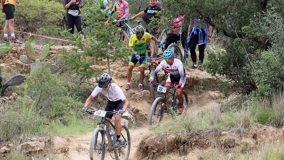 Bicicleta de montaña