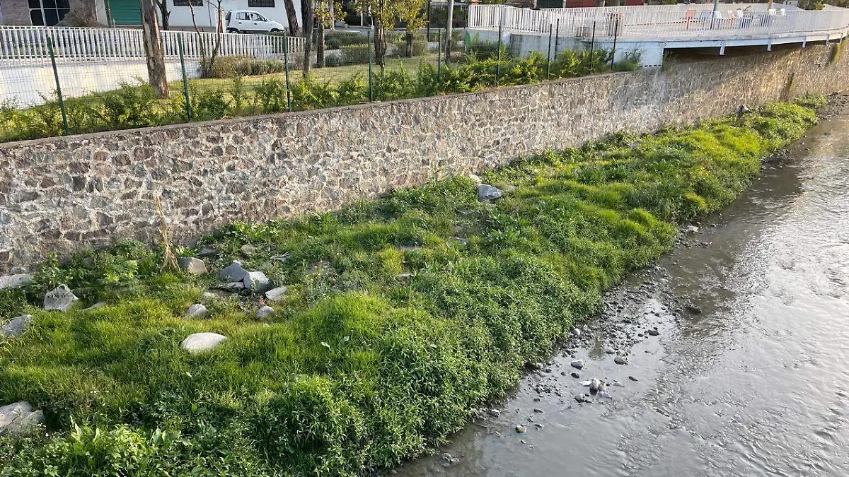 Jardineras zahuapan (2)