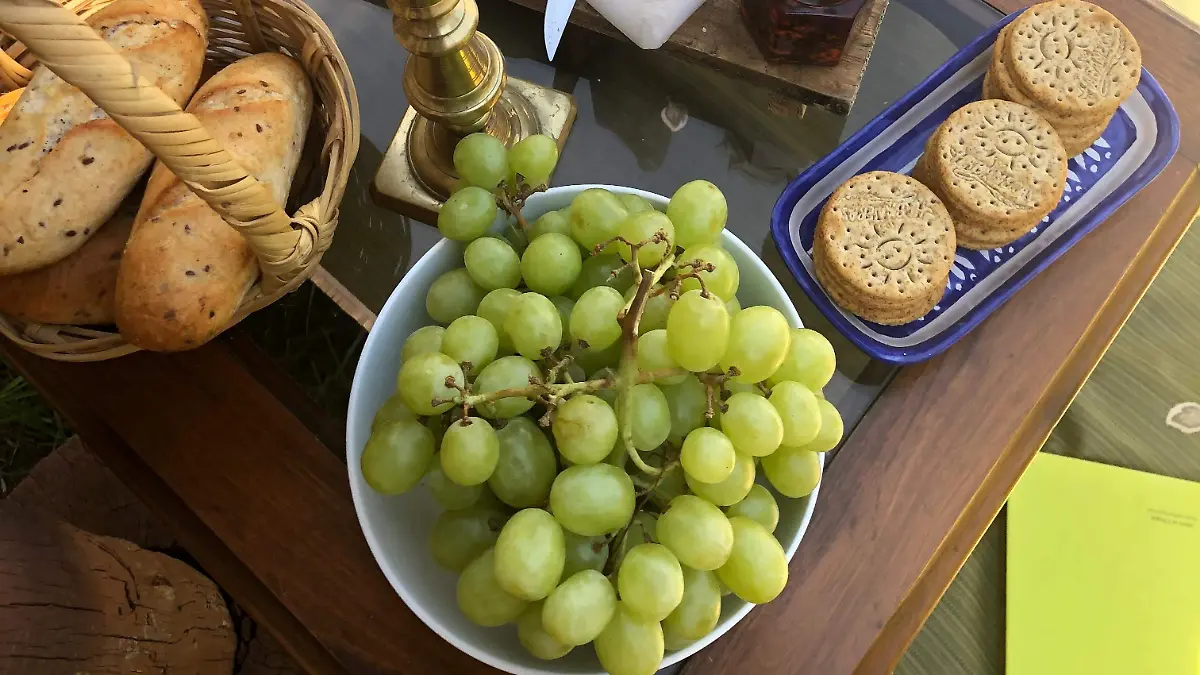 WhatsApp Image 2024-12-31 at 12.30.54 PM