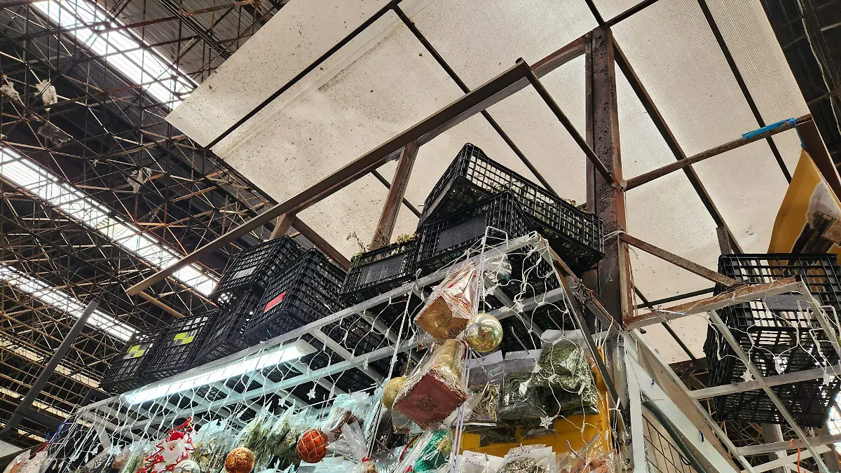 Mercado rehabilitación (2)