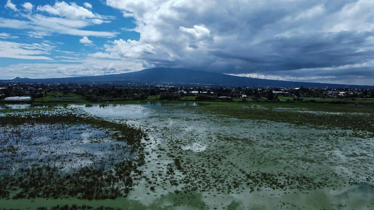 Laguna Acuitlapilco (2)