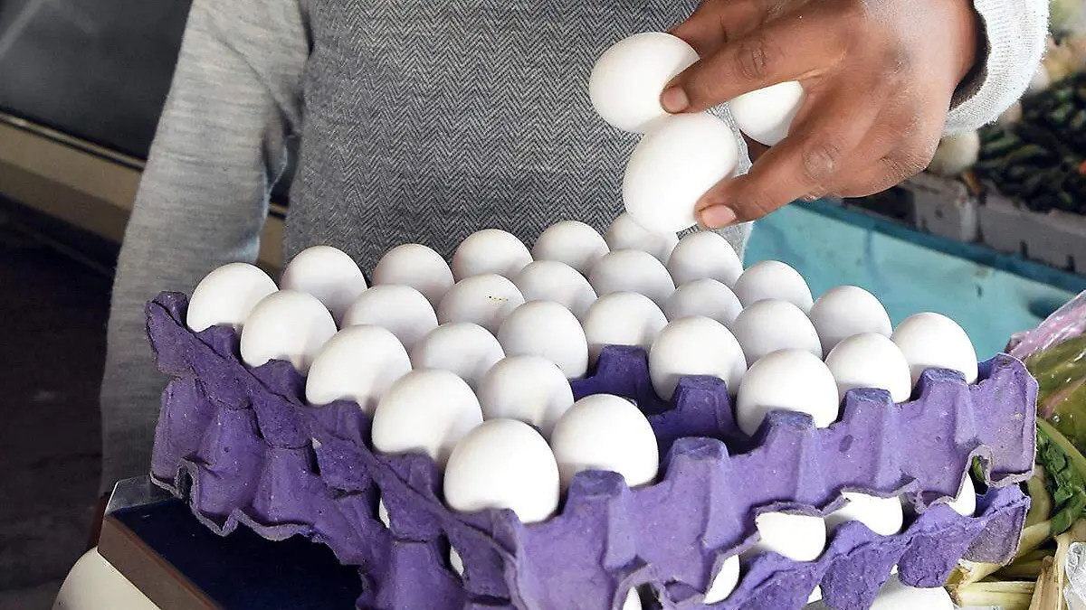 BLANQUILLO, huevo, canasta básica