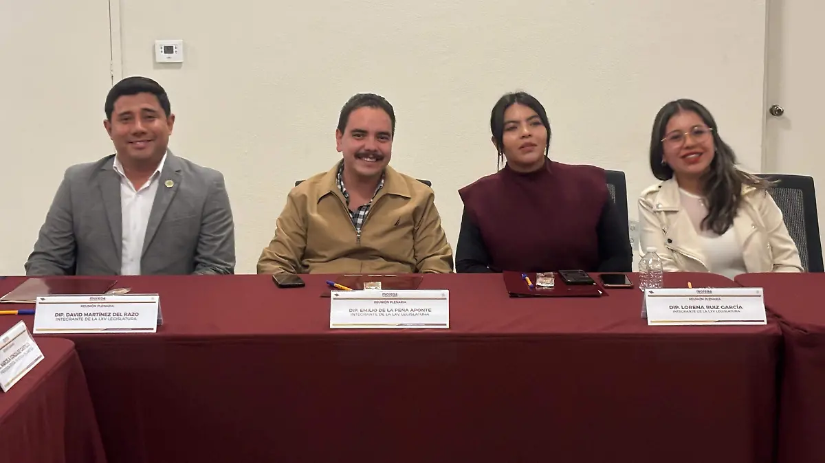 MORENA RESPALDA DIPUTADOS (3)