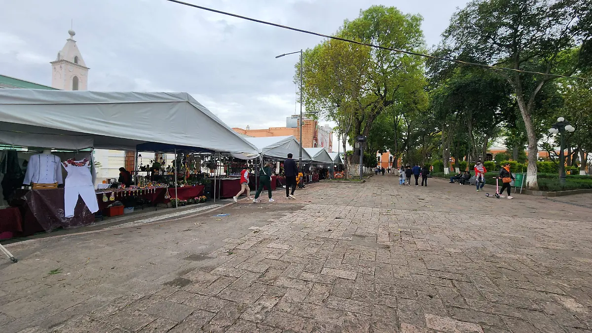 Artesanos Capitalinos (2)