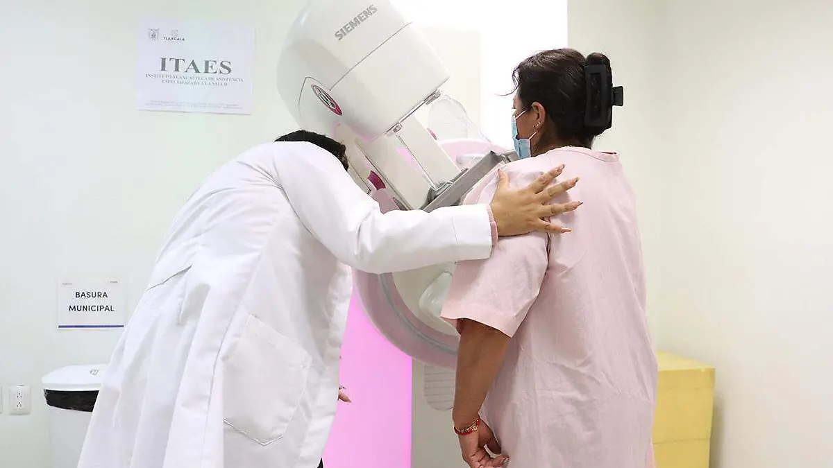 MASTOGRAFÍAS EN EL 2024