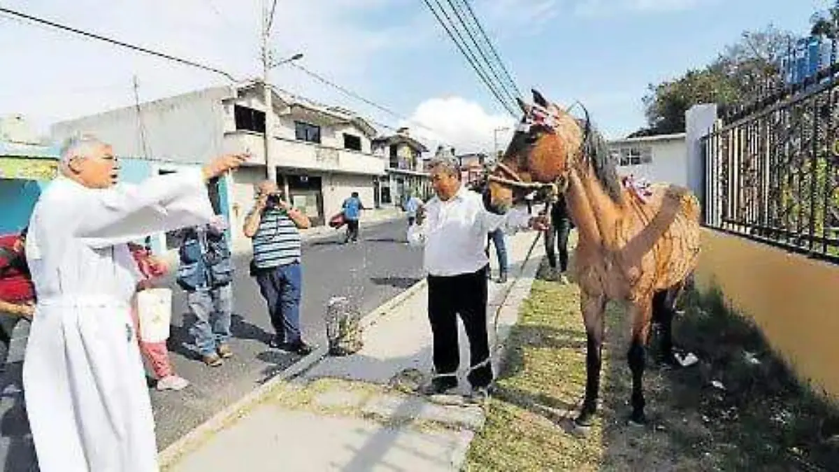 Bendición de animales (3)