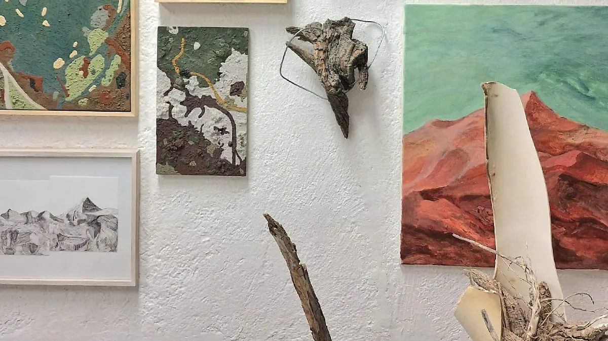 Obra plástica de Rodolfo Suárez 