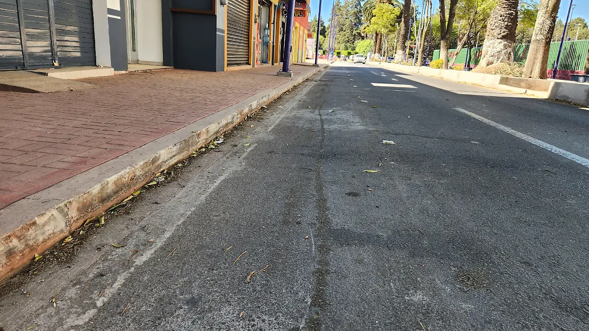 Ciclovía limitada (5)