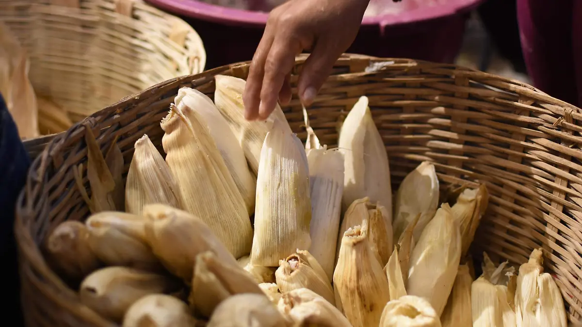 TAMALES tradicionales tamaliza