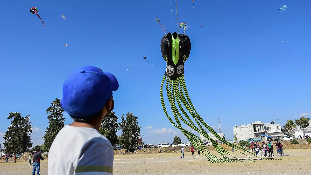 papalotes en apetatitlán