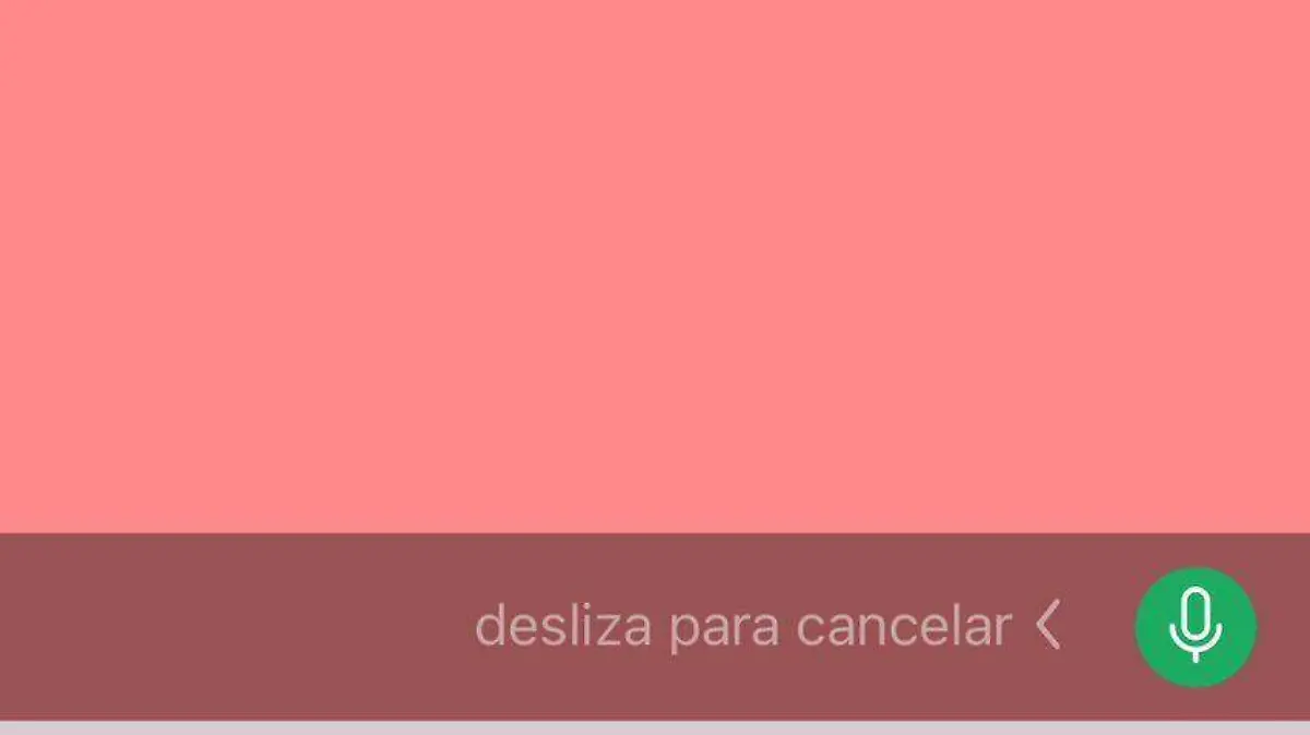 NOTAS DE AUDIO WHATSAPP