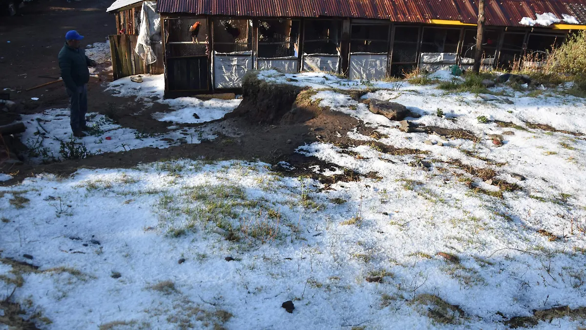 Terrenate bajo el hielo. granizada