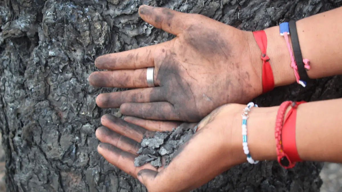 DAÑOS DE UN INCENDIO