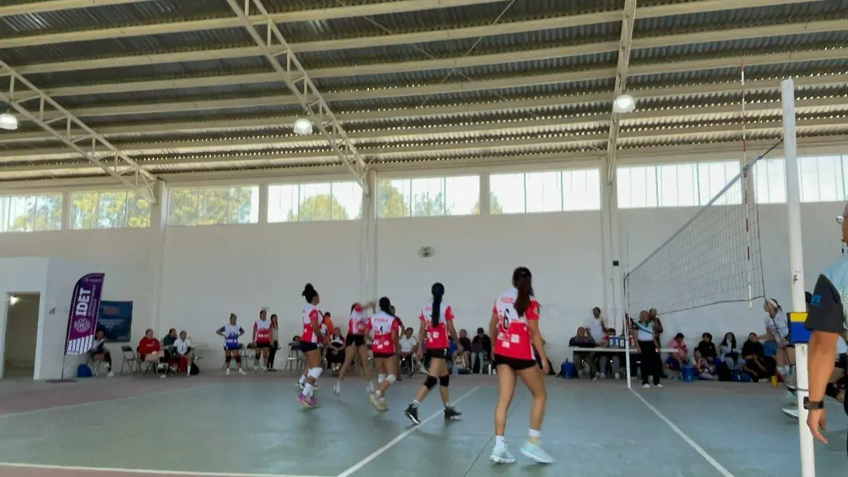 Campeonato nacional de voleibol de sala voleibol jugadores (2)