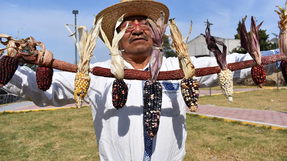 La Familia representada en mazorcas