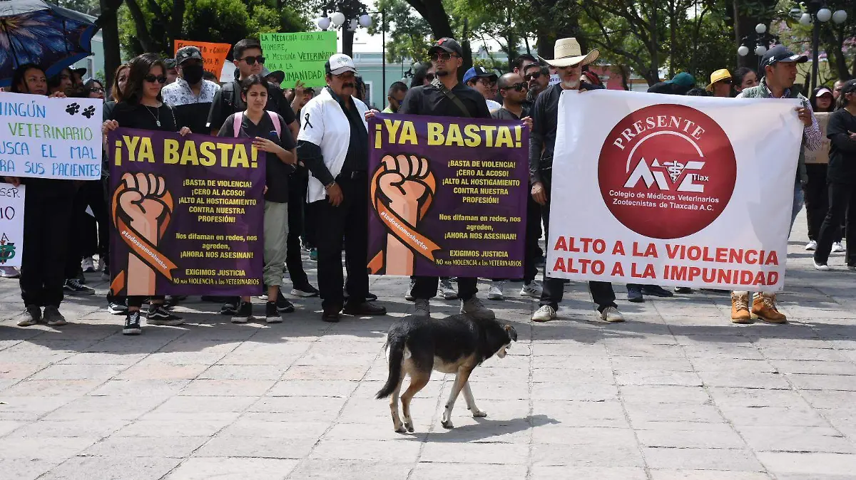 Marcha  Medicos Veterinarios 2