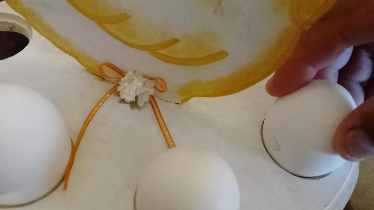 HUEVO EN LOS HOGARES