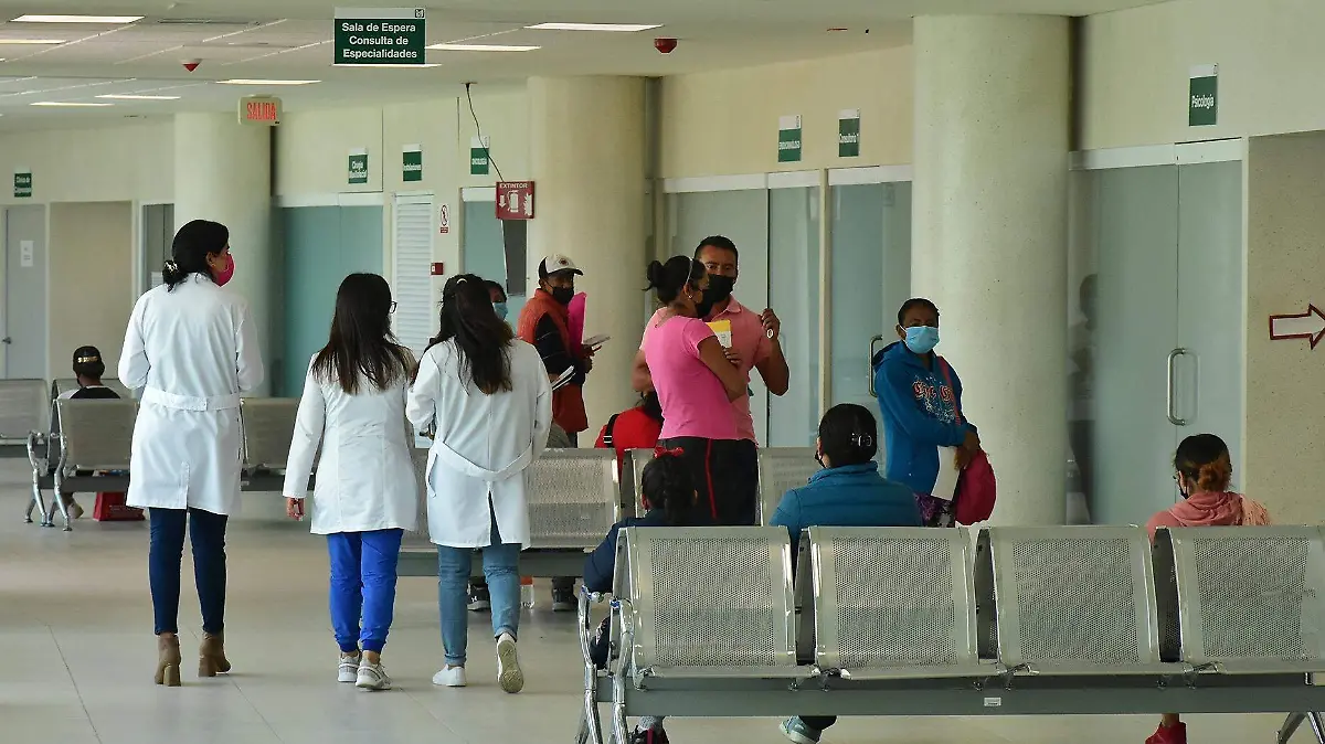 Hospital Paladar Hendido 2