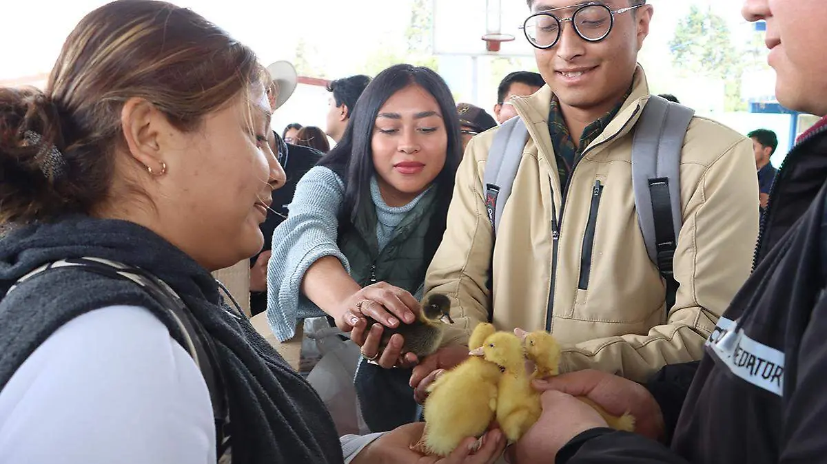 TRUEQUE 2 alumnos ITAT