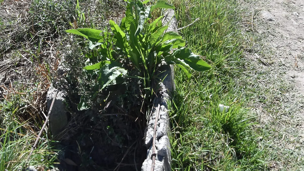 CANALETAS DESTRUIDAS