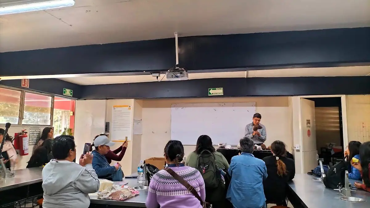 TALLER PRESENCIAL ÁRBOLES