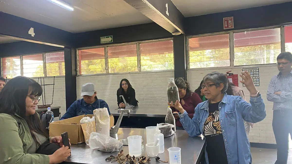 CAPACITACIÓN PRÁCTICA ÁRBOLES