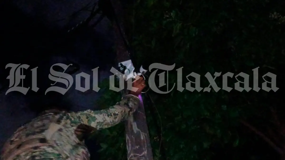 cámara parásito 5.