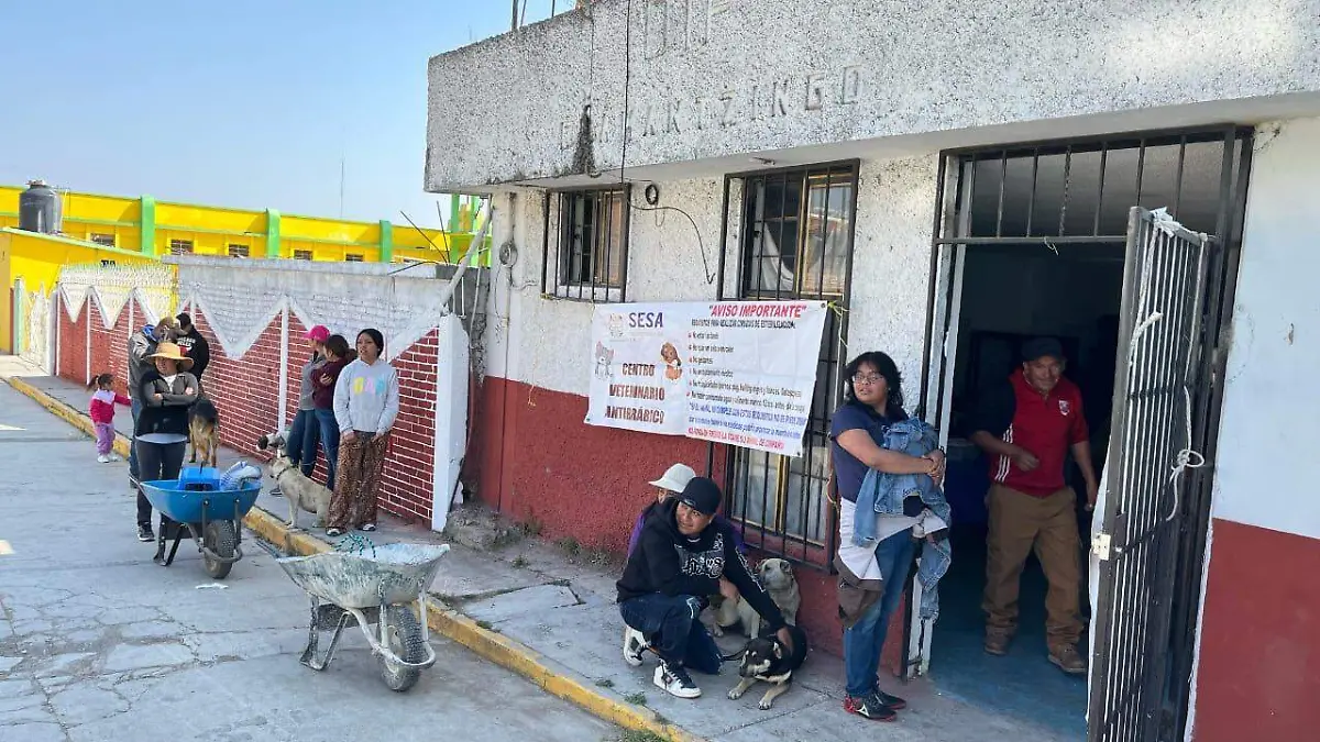 Esterilización gratuita 2