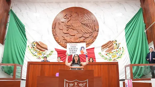 PRONUNCIAMIENTOS DIPUTADAS CONGRESO (2)