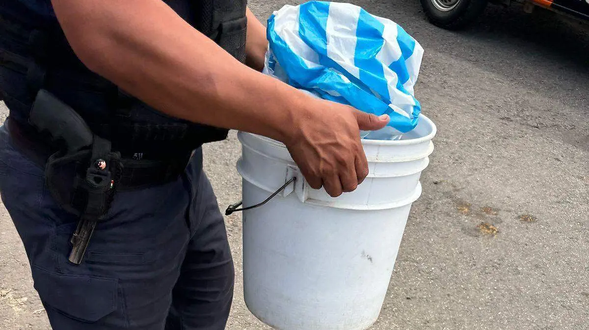 Tráfico ilegal tortugas (2)