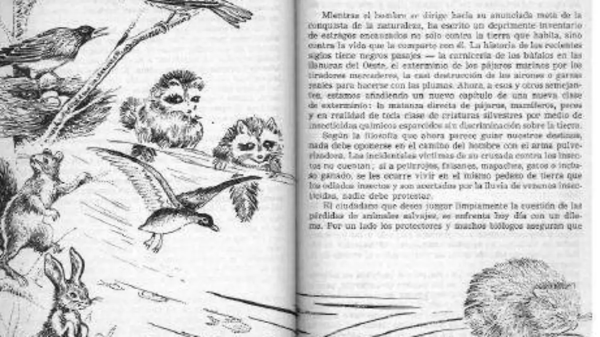 primavera silenciosa