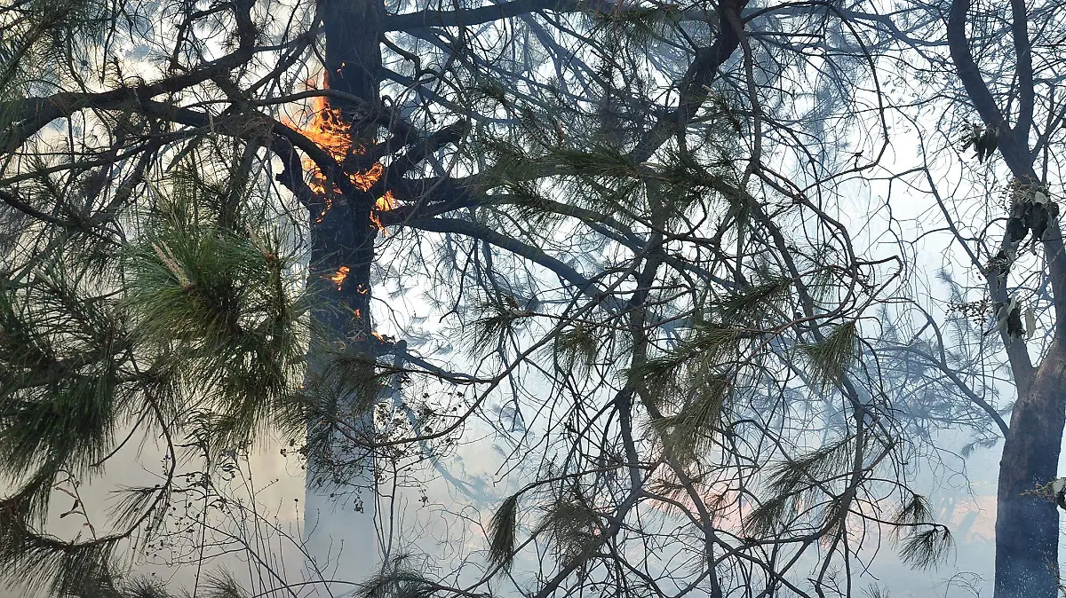 Prevención de Quemas 2