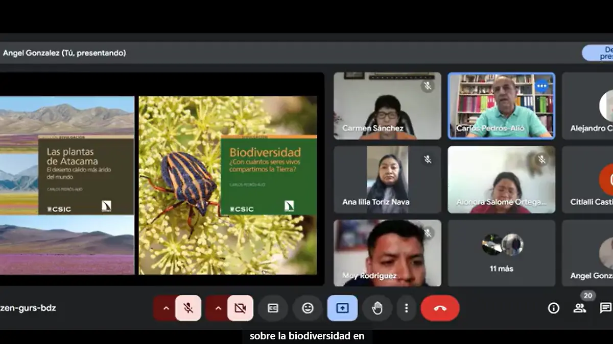 INVESTIGADORES DE ESPAÑA Y BRASIL