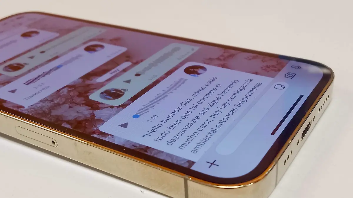 trasncripción de whatsapp