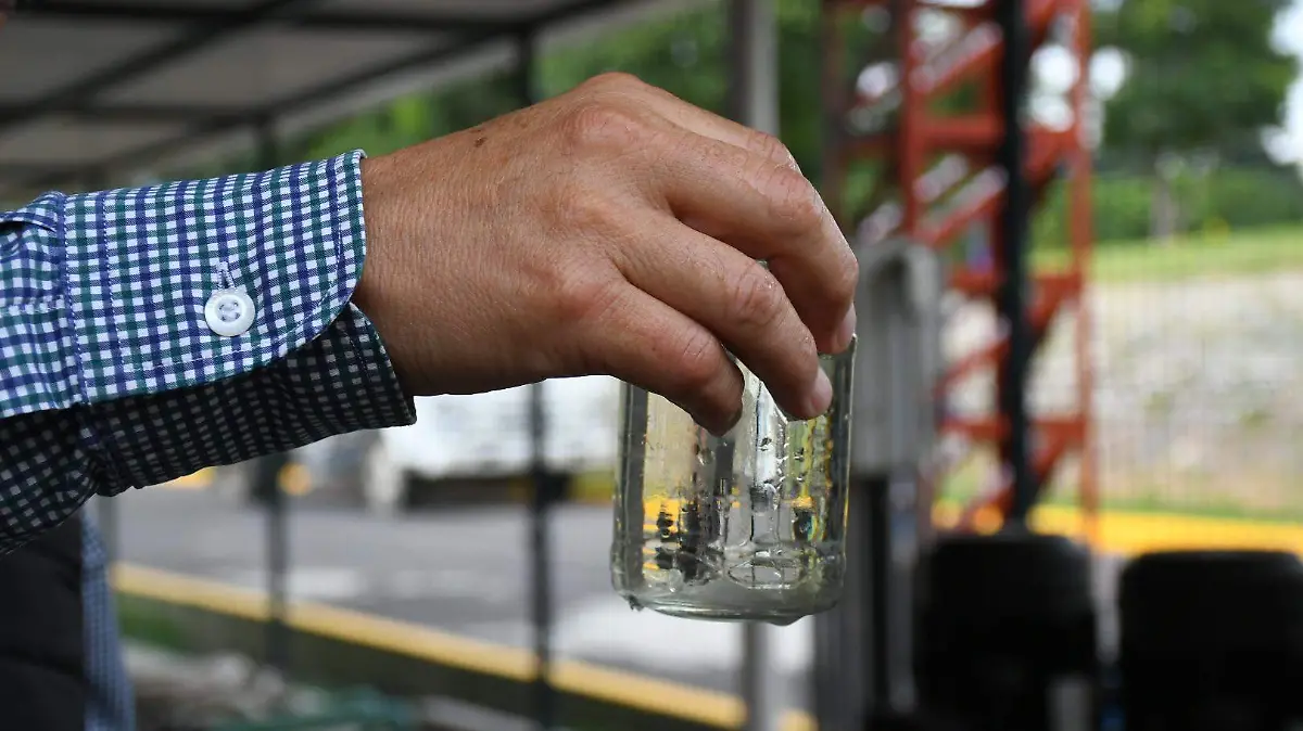 Planta tratadora (18)