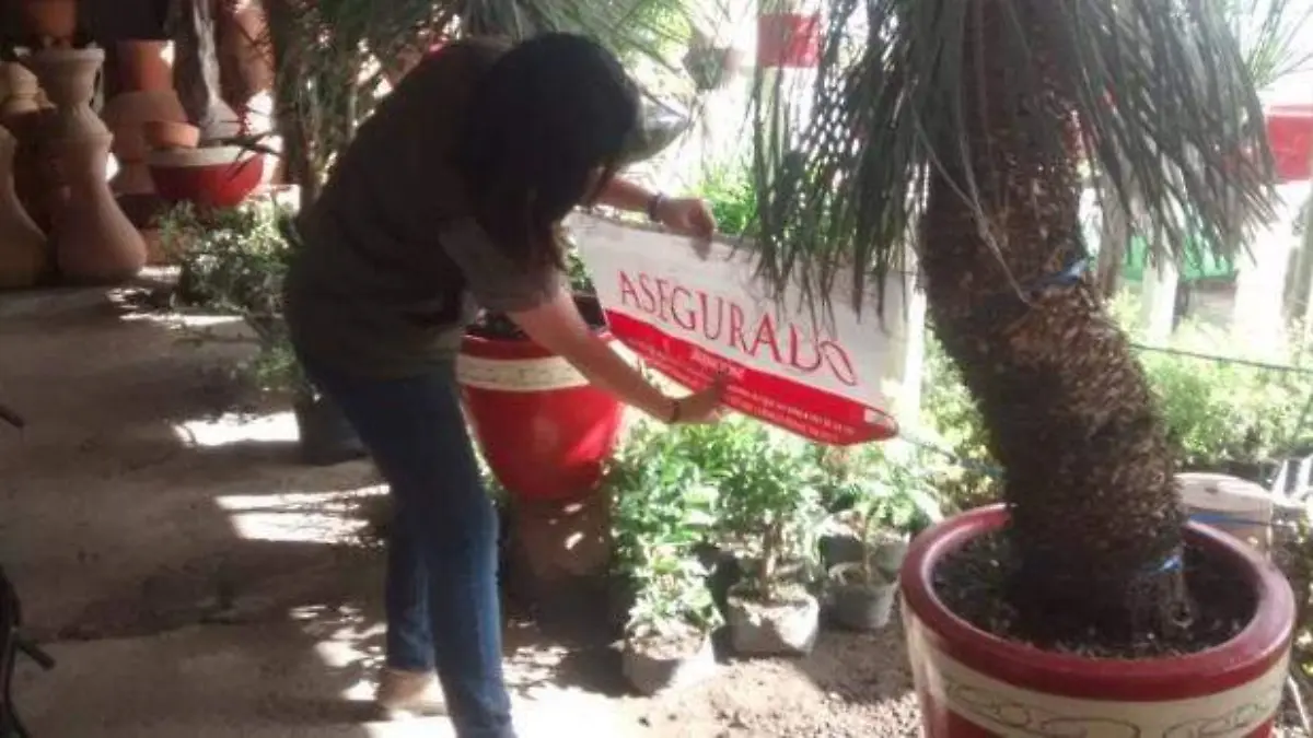 PROFEPA aseguramiento