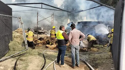 Bodega pacas (1) - copia