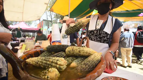 cocina tradicional (7)