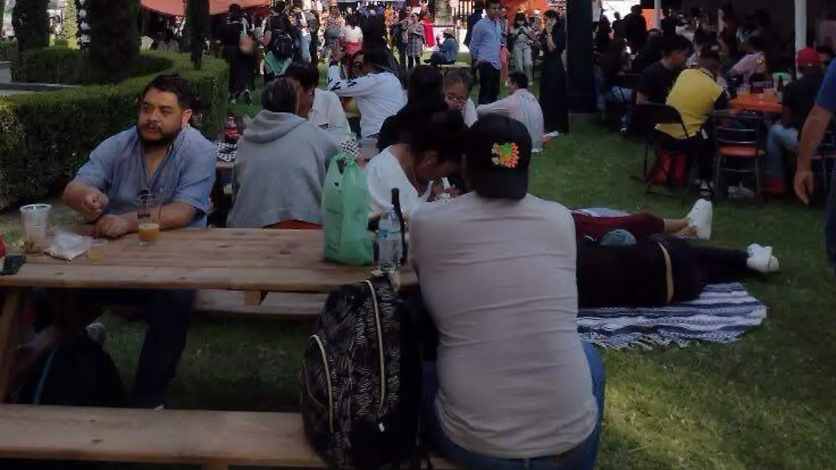 festival de la cerveza