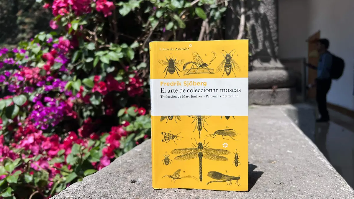 El arte de coleccionar moscas