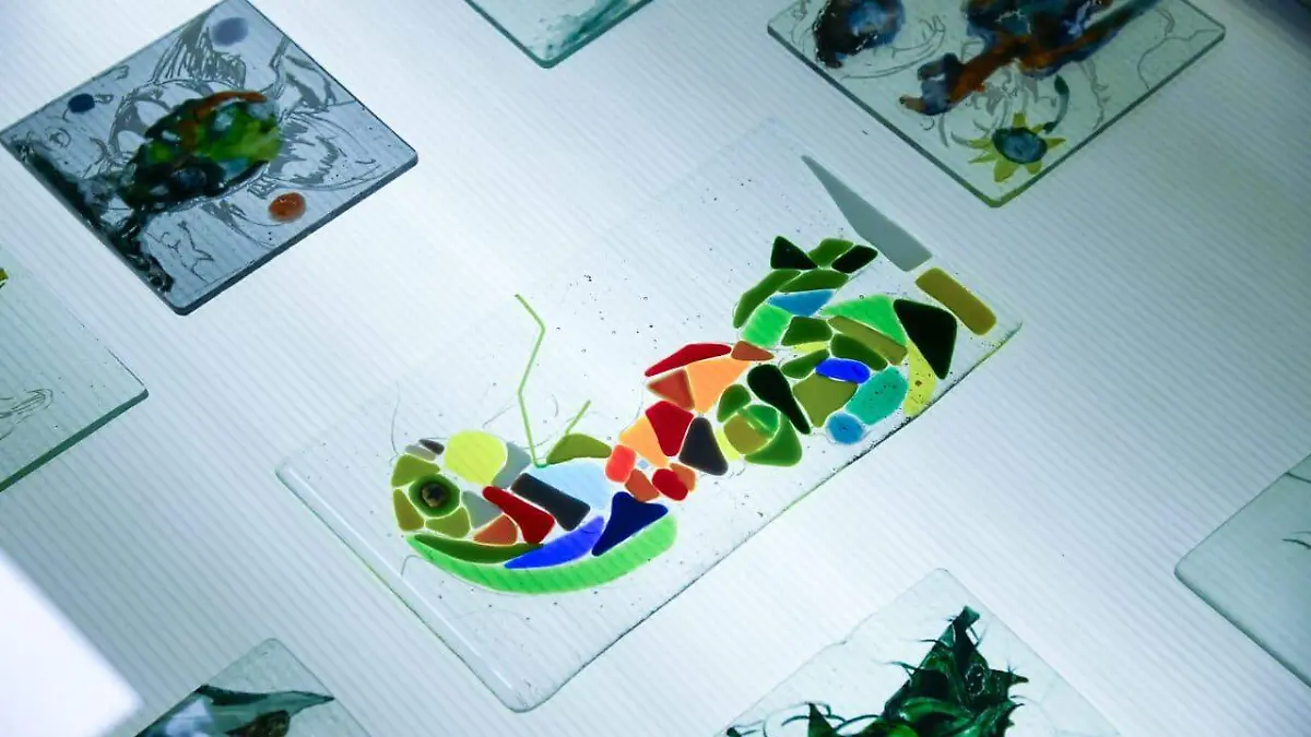 Obras Romper el agua