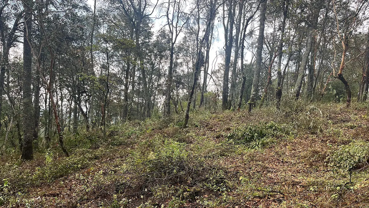 Centros de avistamiento (1)