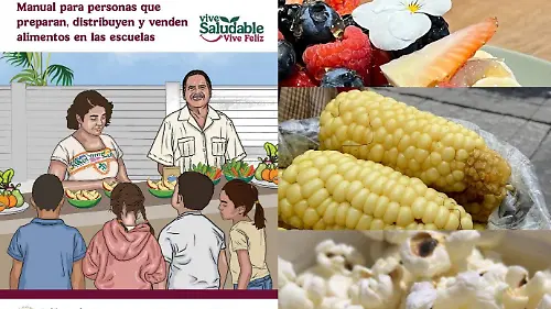 manual saludable