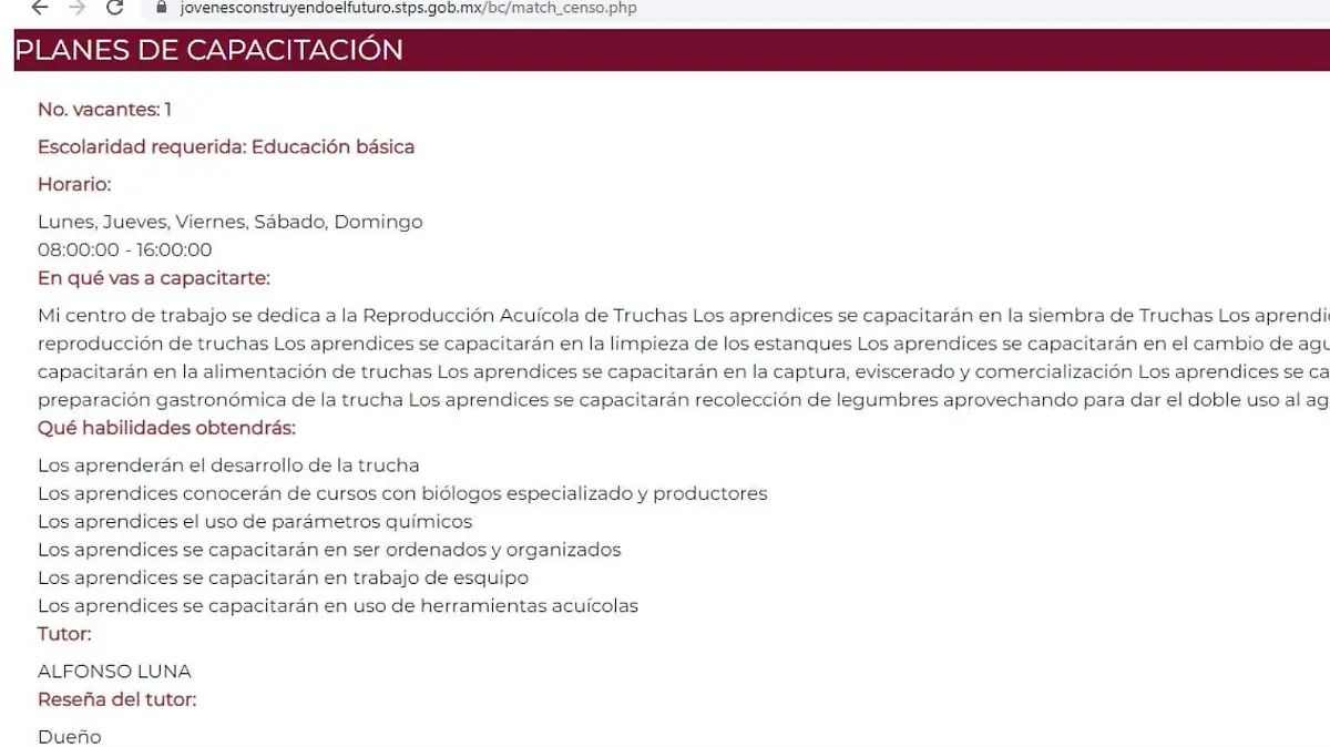 jovenes construtyendo 