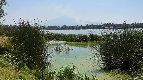 Laguna Acuitlapilco 2