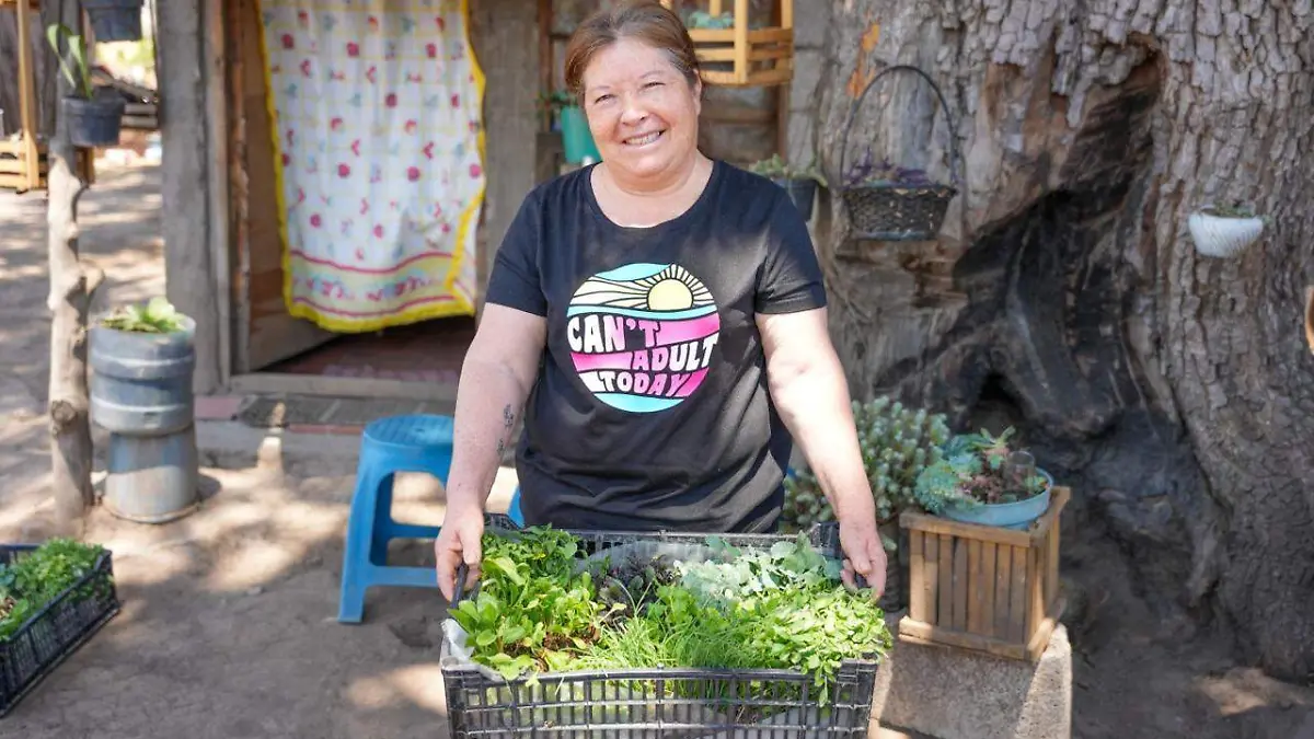 entrega de plántulas 3.