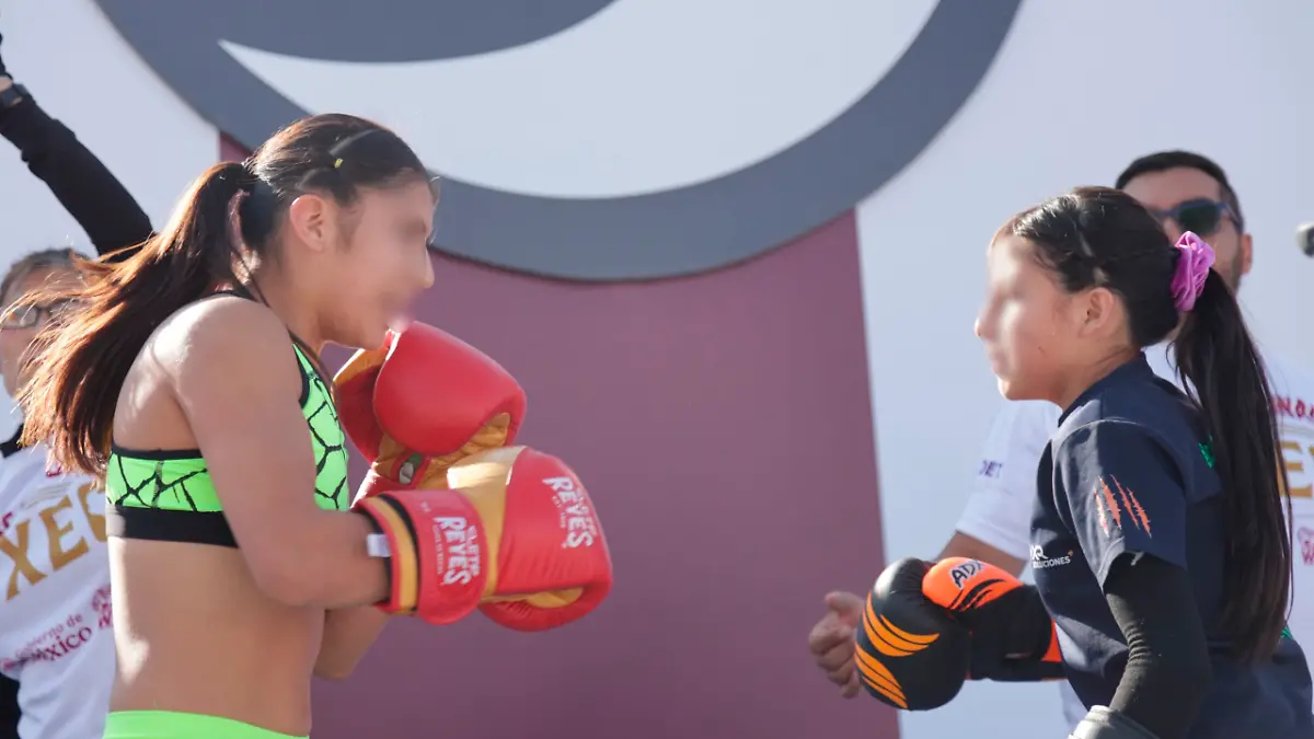 CLASE BOXEO UNE 3.3.