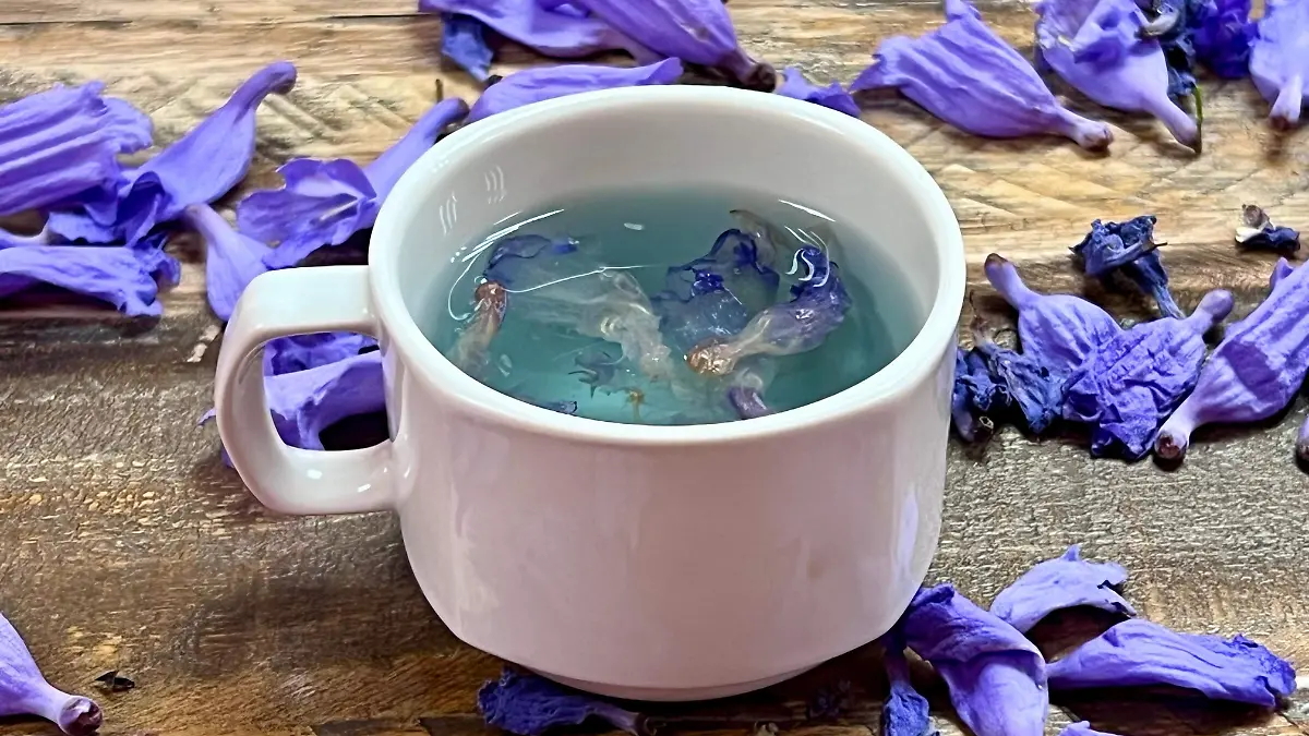 WhatsApp Image 2025-04-07 at 1.47.15 PM